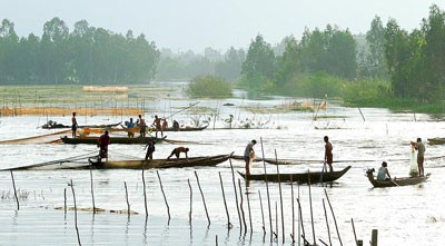 Fishing trade on Hau River in the Mekong Delta (Photo: SGGP) Fishing trade on Hau River in the Mekong Delta (Photo: SGGP)